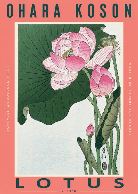 Ohara Koson Lotus II No2 - Juliste