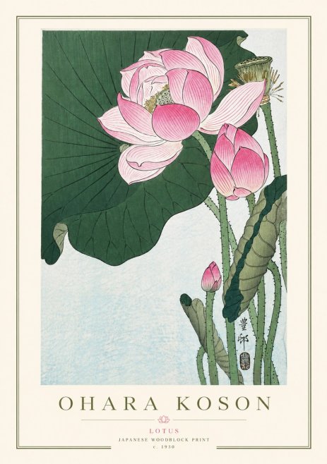 Ohara Koson Lotus II No3 - Juliste