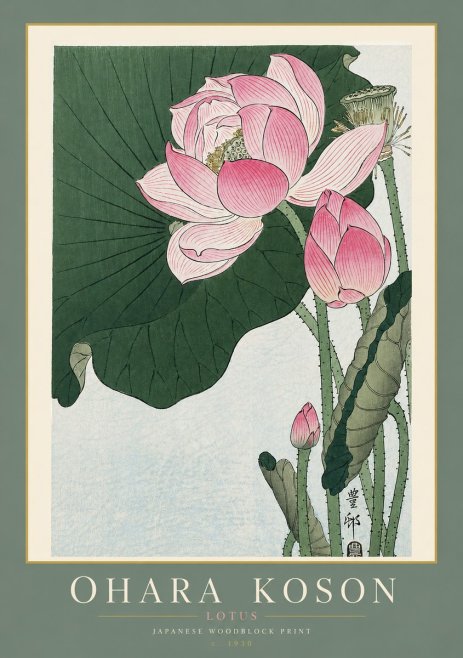 Ohara Koson Lotus II No4 - Juliste