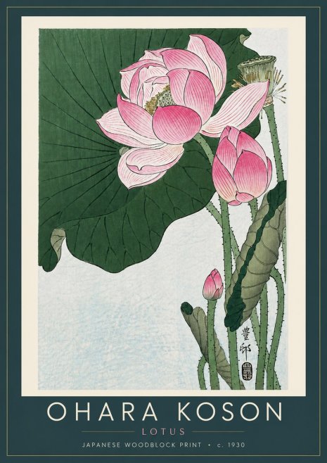Ohara Koson Lotus II No6 - Juliste
