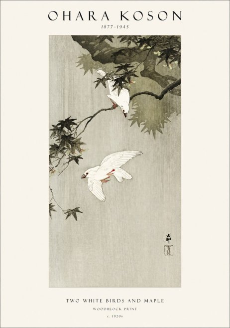 Ohara Koson Two White Birds and Maple No1 - Juliste