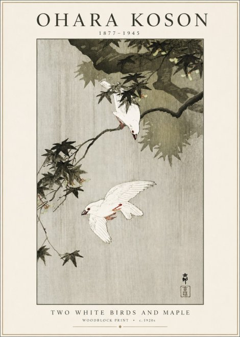 Ohara Koson Two White Birds and Maple No3 - Juliste