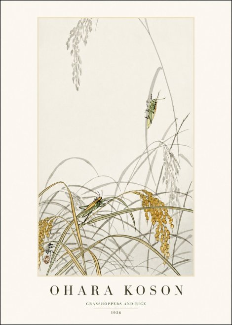 Ohara Koson Grasshoppers and Rice No1 - Juliste