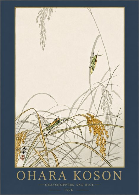 Ohara Koson Grasshoppers and Rice No3 - Juliste