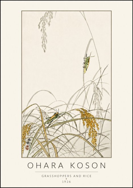 Ohara Koson Grasshoppers and Rice No4 - Juliste