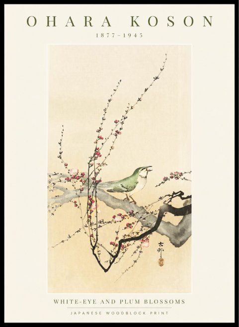 Ohara Koson White-eye and Plum Blossoms No1 - Juliste