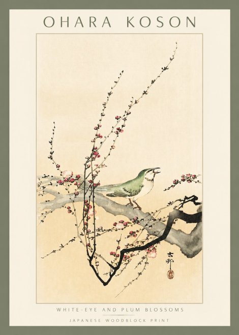 Ohara Koson White-eye and Plum Blossoms No2 - Juliste