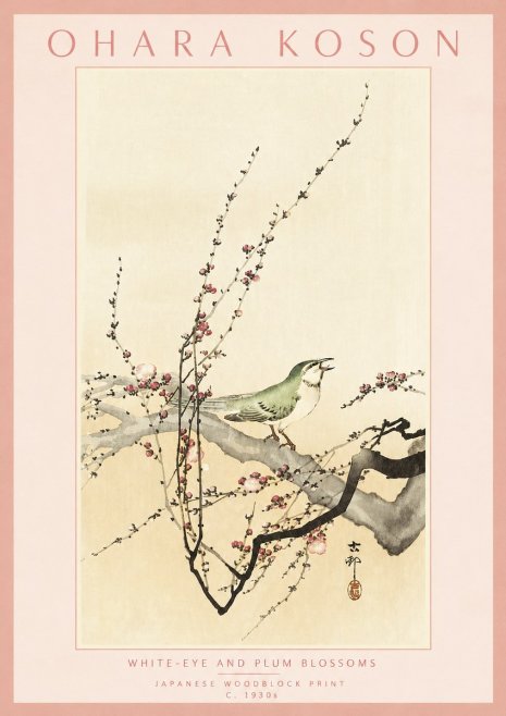 Ohara Koson White-eye and Plum Blossoms No3 - Juliste