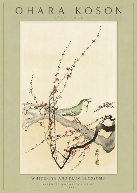 Ohara Koson White-eye and Plum Blossoms No4 - Juliste