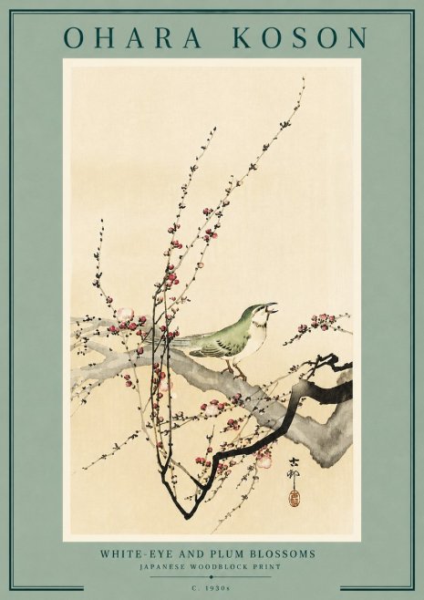 Ohara Koson White-eye and Plum Blossoms No6 - Juliste