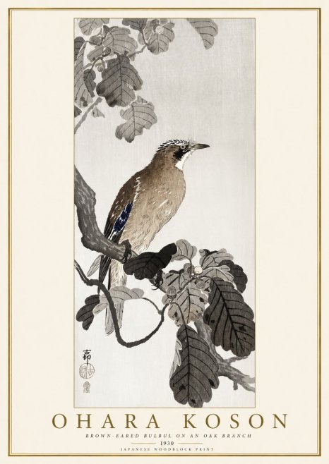 Ohara Koson Brown-eared Bulbul on an Oak Branch No1 - Juliste