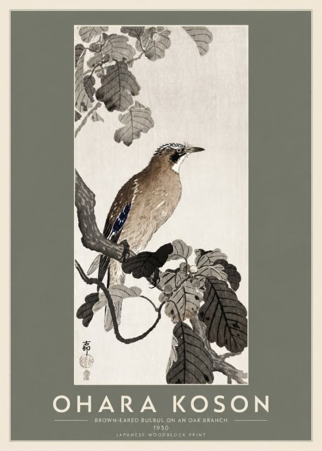 Ohara Koson Brown-eared Bulbul on an Oak Branch No2 - Juliste