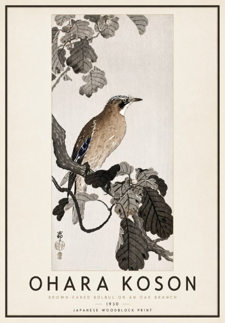 Ohara Koson Brown-eared Bulbul on an Oak Branch No4 - Juliste