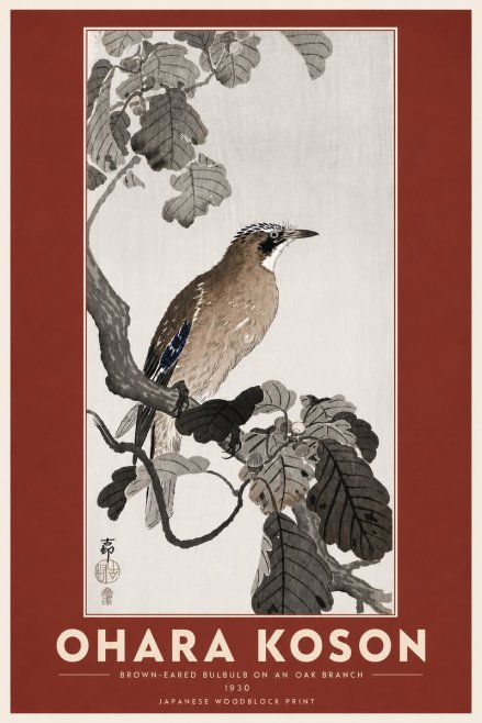Ohara Koson Brown-eared Bulbul on an Oak Branch No6 - Juliste