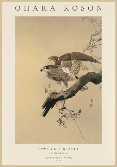 Ohara Koson Hawk on a Branch I No1 - Juliste
