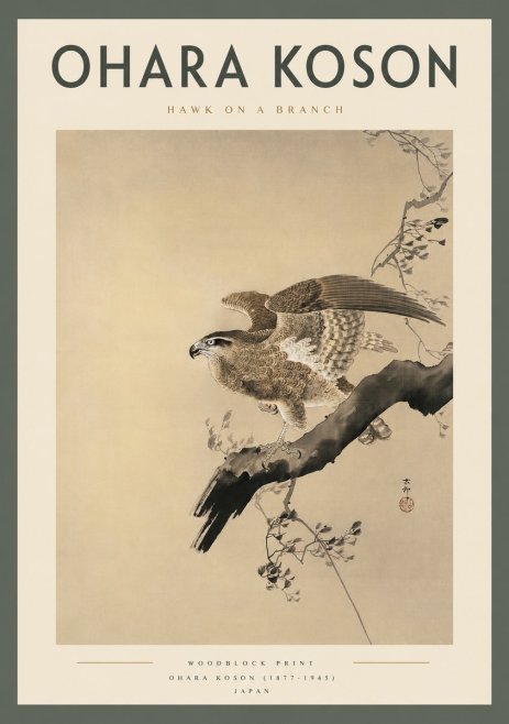 Ohara Koson Hawk on a Branch I No2 - Juliste