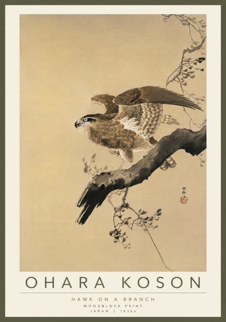 Ohara Koson Hawk on a Branch I No4 - Juliste