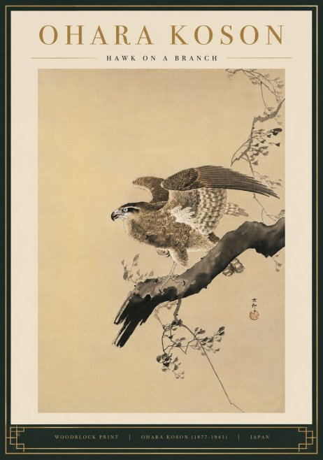 Ohara Koson Hawk on a Branch I No5 - Juliste