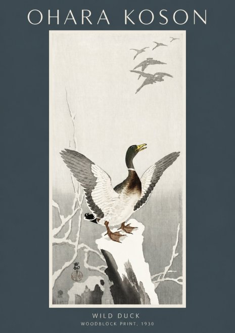 Ohara Koson Wild Duck No2 - Juliste