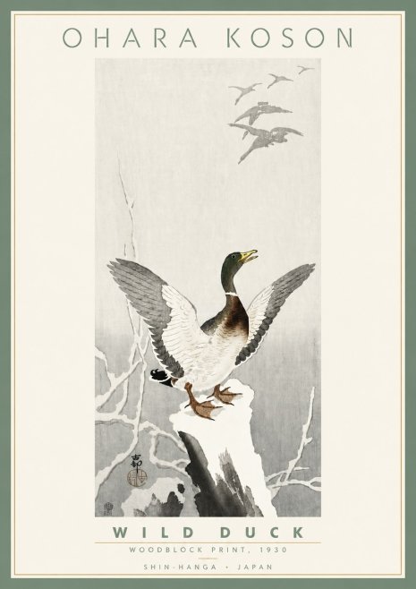 Ohara Koson Wild Duck No4 - Juliste