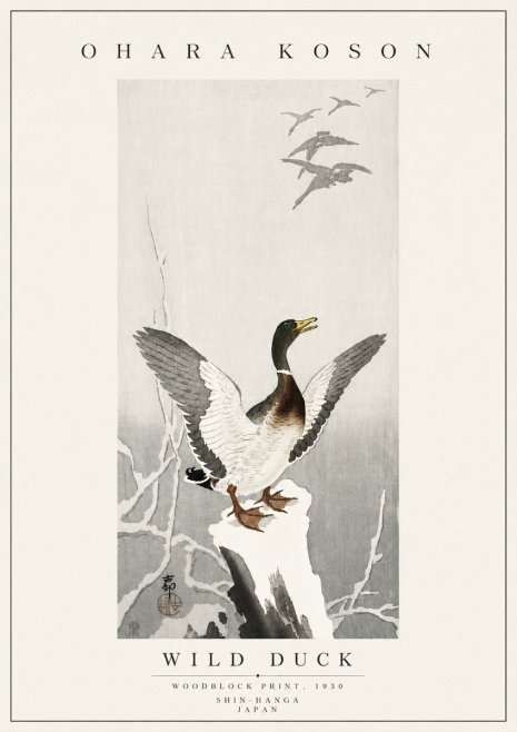 Ohara Koson Wild Duck No5 - Juliste