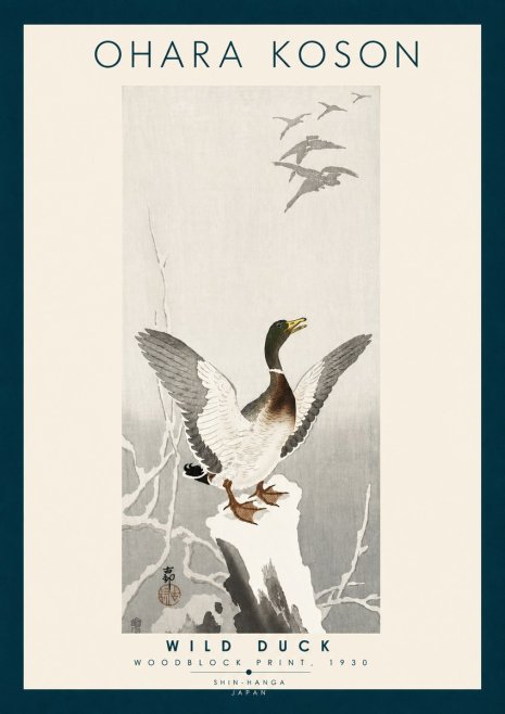 Ohara Koson Wild Duck No6 - Juliste