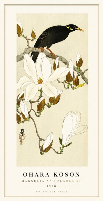 Ohara Koson Magnolia and Blackbird No1 - Juliste