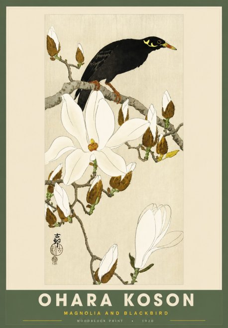 Ohara Koson Magnolia and Blackbird No2 - Juliste