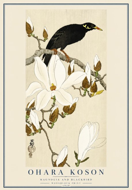 Ohara Koson Magnolia and Blackbird No3 - Juliste