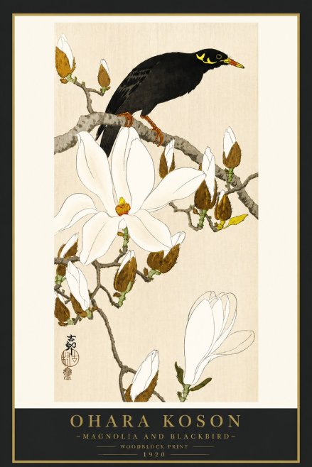 Ohara Koson Magnolia and Blackbird No4 - Juliste
