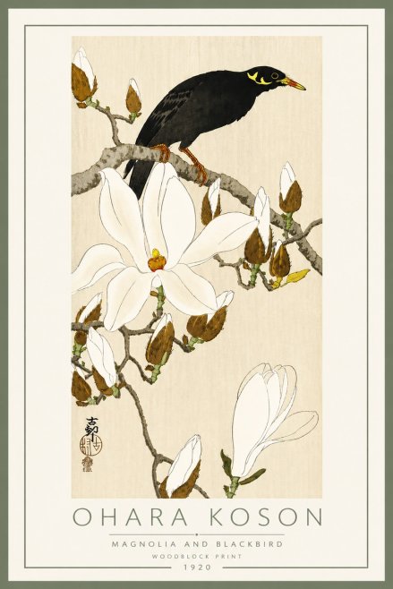 Ohara Koson Magnolia and Blackbird No5 - Juliste