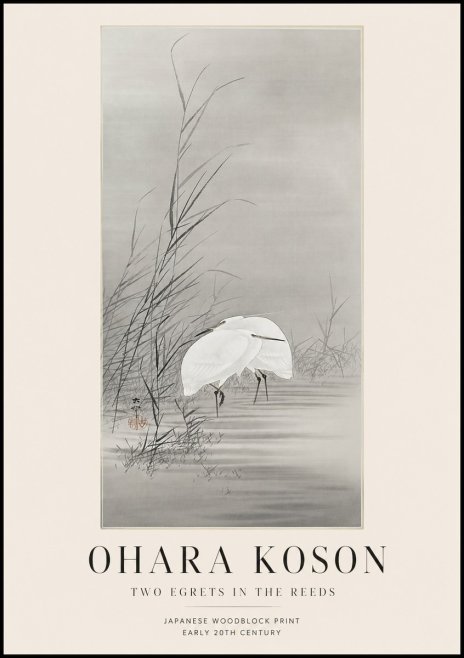 Ohara Koson Two Egrets in the Reeds No1 - Juliste