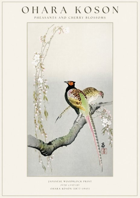 Ohara Koson Pheasants and Cherry Blossoms II No1 - Juliste