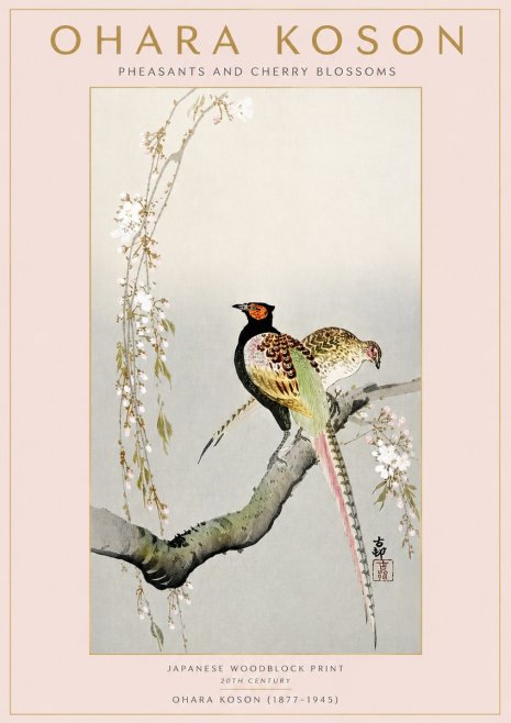 Ohara Koson Pheasants and Cherry Blossoms II No3 - Juliste