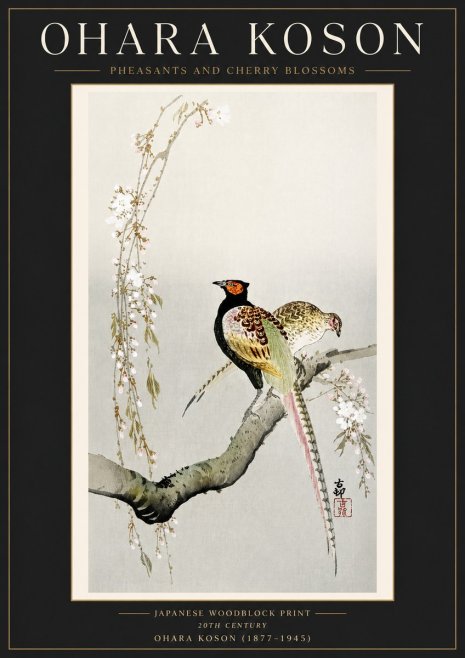 Ohara Koson Pheasants and Cherry Blossoms II No4 - Juliste