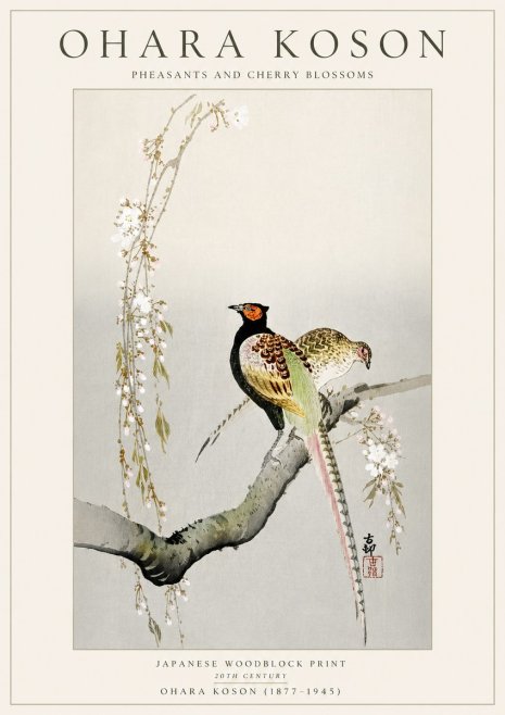 Ohara Koson Pheasants and Cherry Blossoms II No5 - Juliste
