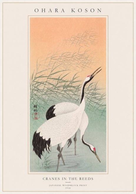 Ohara Koson Cranes in the Reeds No1 - Juliste