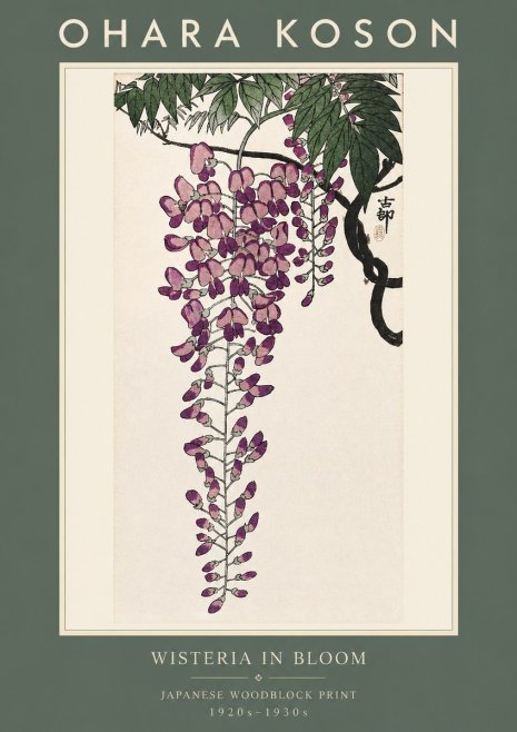 Ohara Koson Wisteria in Bloom No2 - Juliste