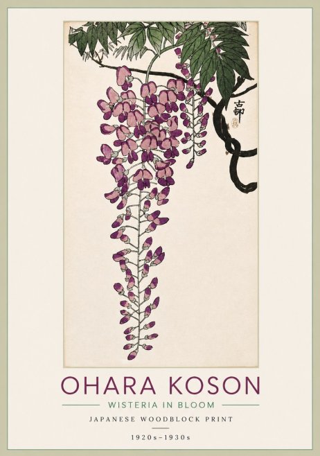Ohara Koson Wisteria in Bloom No3 - Juliste