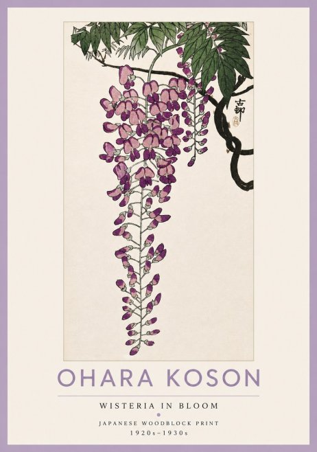 Ohara Koson Wisteria in Bloom No4 - Juliste