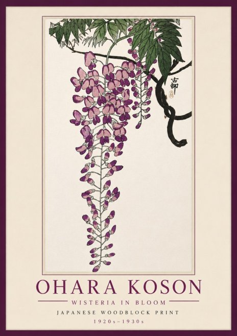 Ohara Koson Wisteria in Bloom No5 - Juliste
