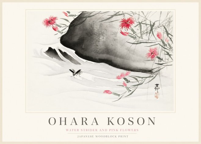 Ohara Koson Water Strider and Pink Flowers No1 - Juliste