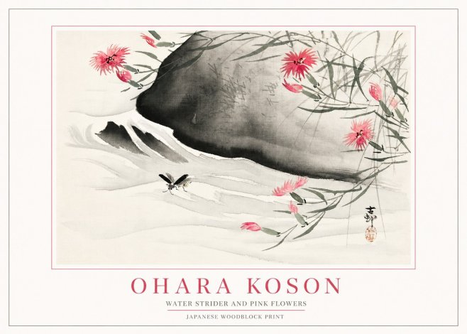 Ohara Koson Water Strider and Pink Flowers No2 - Juliste