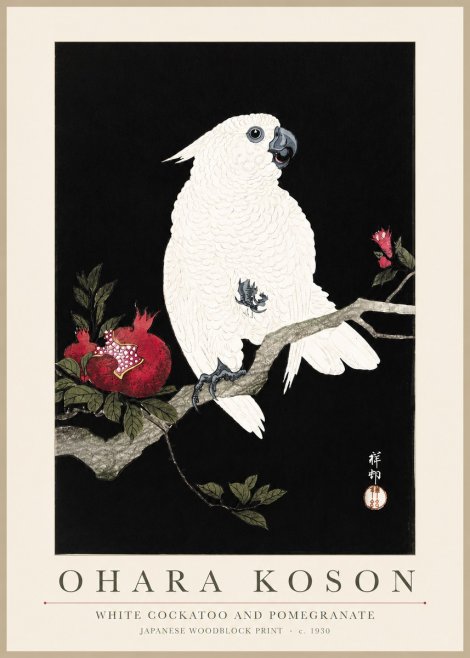 Ohara Koson White Cockatoo and Pomegranate I No3 - Juliste