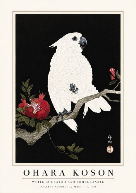 Ohara Koson White Cockatoo and Pomegranate I No6 - Juliste