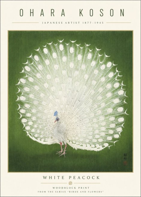 Ohara Koson White Peacock No3 - Juliste