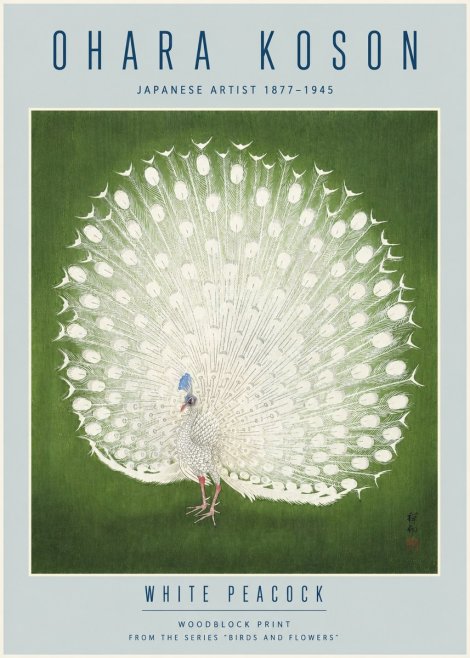 Ohara Koson White Peacock No4 - Juliste