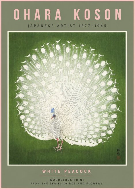Ohara Koson White Peacock No6 - Juliste