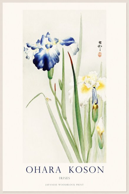 Ohara Koson Irises II No1 - Juliste