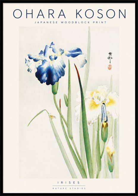 Ohara Koson Irises II No3 - Juliste
